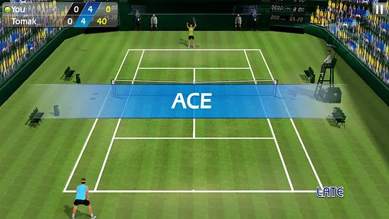 3D Tennis  [МОД Много монет] Screenshot 2