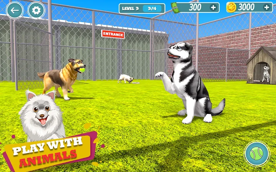 My Pet Animal Shelter World  [МОД Много монет] Screenshot 5