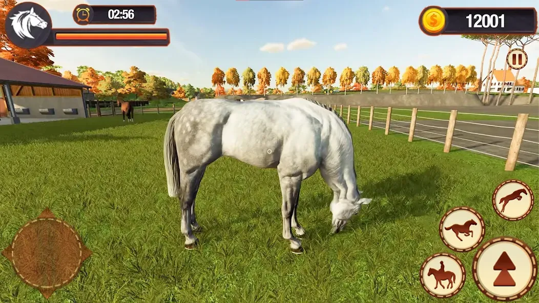 My Horse Herd Care Simulator (Мой симулятор ухода за стадом лошадей)  [МОД Unlocked] Screenshot 5